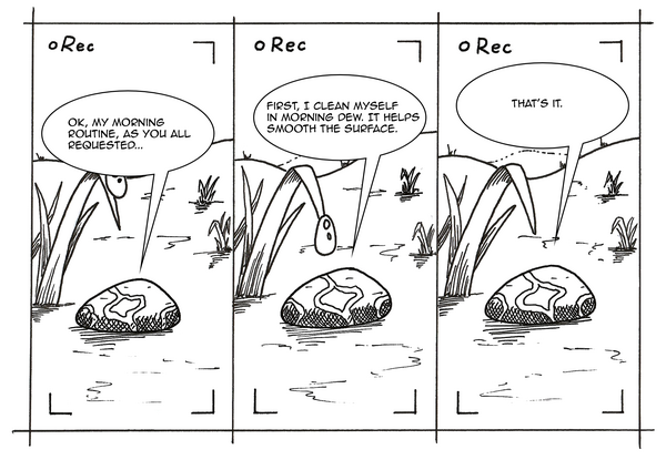Three panels of a webcomic, each labeled "● Rec" in the top 
left corner, framed by camera viewfinder corner brackets — 
suggesting the rock is being recorded as a vlog.

Panel 1: Quartz, a smooth oval pebble with a diagonal vein 
marking, sits on a grassy patch beside a large blade of grass. 
Speech bubble: "OK, my morning routine, as you all requested..."

Panel 2: The same scene. A single drop of dew hangs from the 
tip of the grass blade, above Quartz. Speech bubble: "First, 
I clean myself in morning dew. It helps smooth the surface."

Panel 3: The same scene, dew drop gone. Speech bubble: 
"That's it."