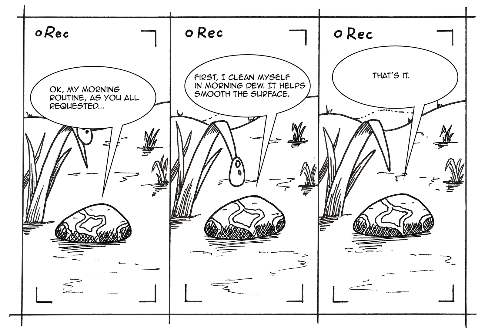 Three panels of a webcomic, each labeled "● Rec" in the top 
left corner, framed by camera viewfinder corner brackets — 
suggesting the rock is being recorded as a vlog.

Panel 1: Quartz, a smooth oval pebble with a diagonal vein 
marking, sits on a grassy patch beside a large blade of grass. 
Speech bubble: "OK, my morning routine, as you all requested..."

Panel 2: The same scene. A single drop of dew hangs from the 
tip of the grass blade, above Quartz. Speech bubble: "First, 
I clean myself in morning dew. It helps smooth the surface."

Panel 3: The same scene, dew drop gone. Speech bubble: 
"That's it."