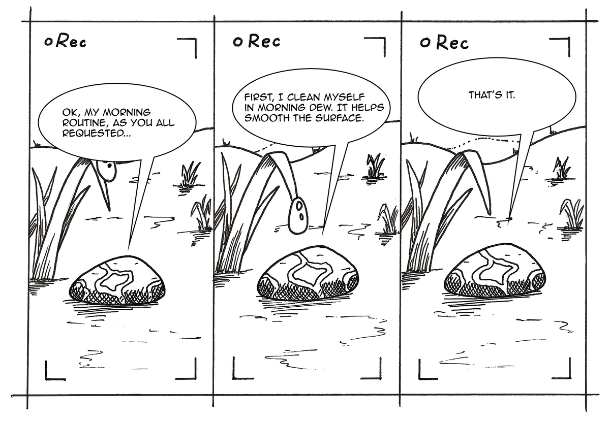 Three panels of a webcomic, each labeled "● Rec" in the top 
left corner, framed by camera viewfinder corner brackets — 
suggesting the rock is being recorded as a vlog.

Panel 1: Quartz, a smooth oval pebble with a diagonal vein 
marking, sits on a grassy patch beside a large blade of grass. 
Speech bubble: "OK, my morning routine, as you all requested..."

Panel 2: The same scene. A single drop of dew hangs from the 
tip of the grass blade, above Quartz. Speech bubble: "First, 
I clean myself in morning dew. It helps smooth the surface."

Panel 3: The same scene, dew drop gone. Speech bubble: 
"That's it."