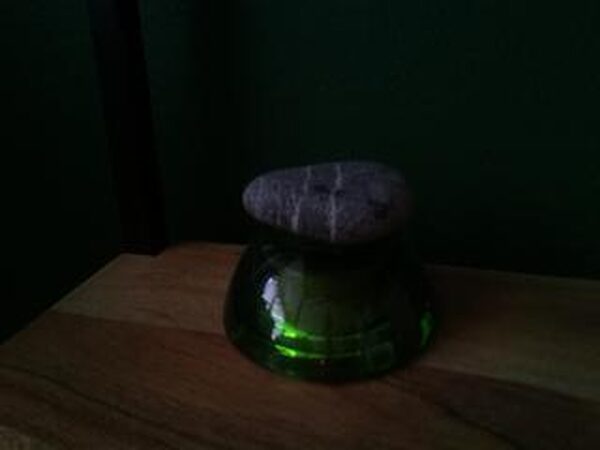 Live from the rock garden with a strictly controlled environment.