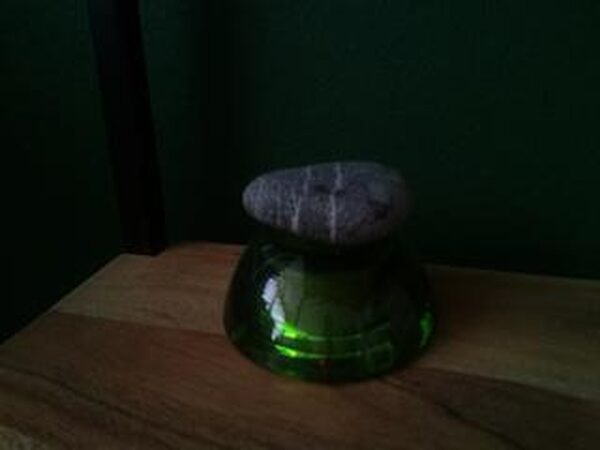 Live from the rock garden with a strictly controlled environment.