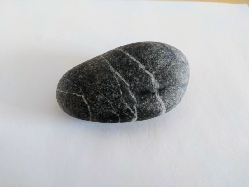 A quartz-veined pebble on white paper.